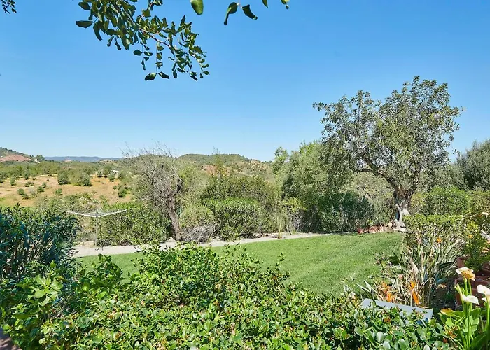 Laranjeira 타비라